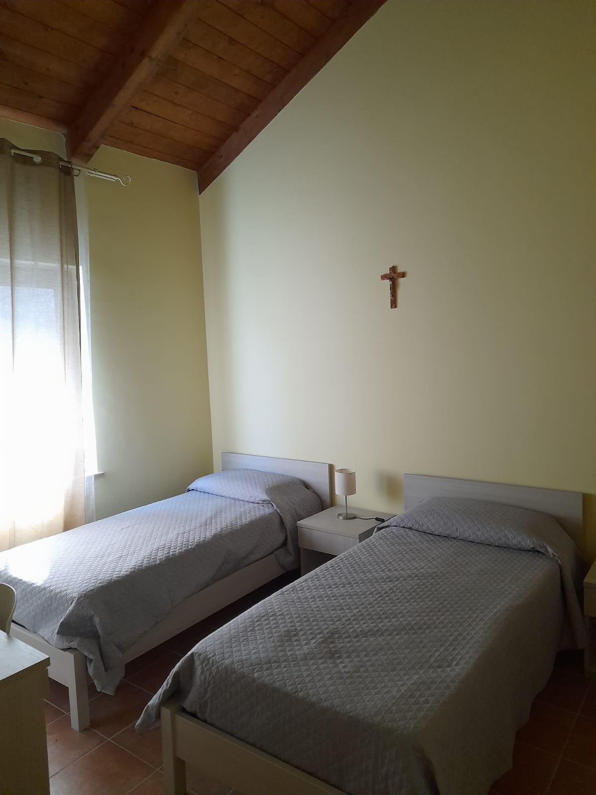 Scuola cani guida